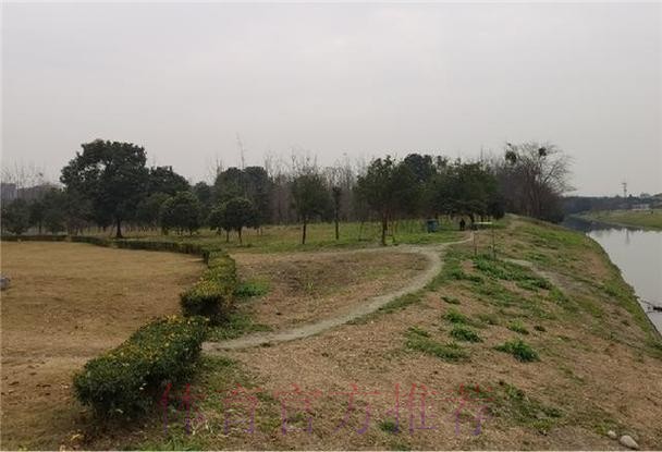 引领“公园城市·幸福成都”运动新风尚